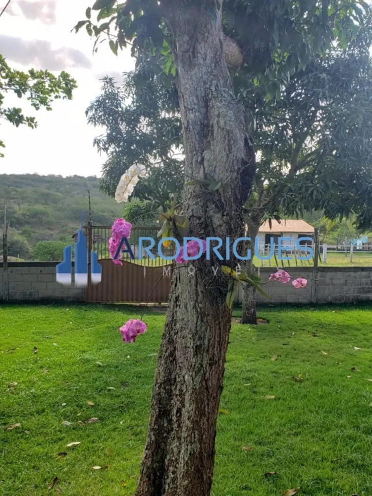 Sítio, 4 quartos, 60200 m² - Foto 2