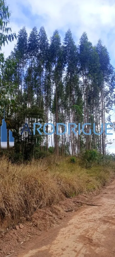 Fazenda, 453 m² - Foto 6