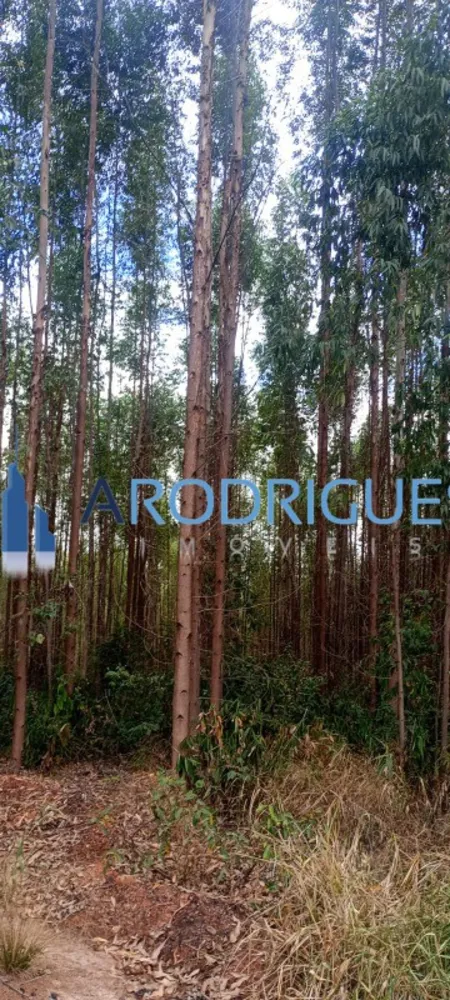 Fazenda, 453 m² - Foto 5