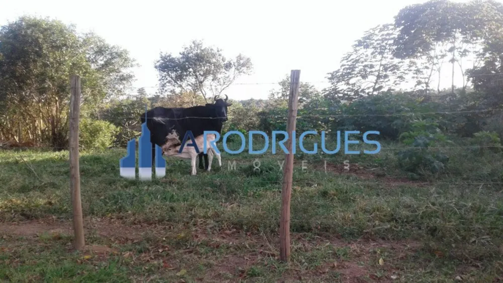 Fazenda, 5 hectares - Foto 2