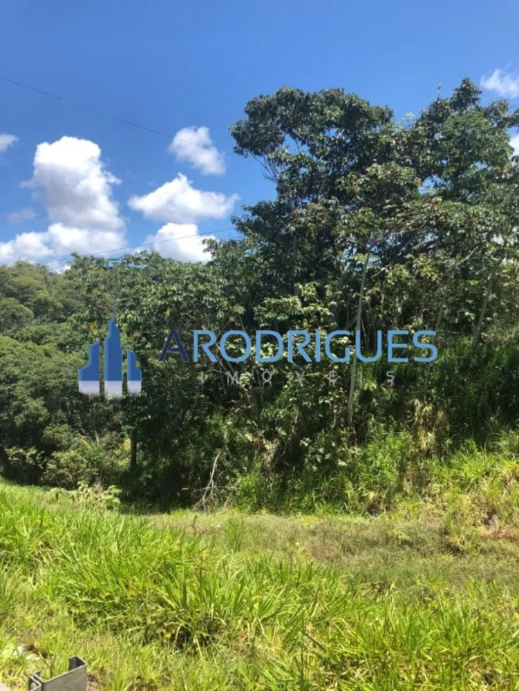 Loteamento e Condomínio, 21 hectares - Foto 7