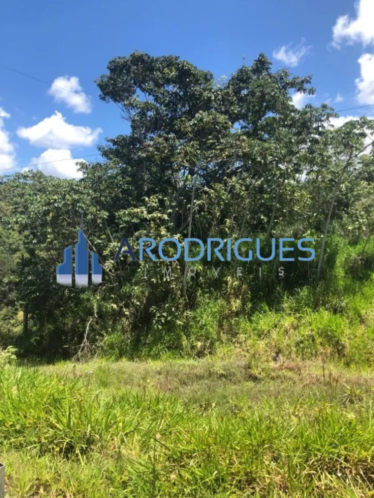 Loteamento e Condomínio, 21 hectares - Foto 3