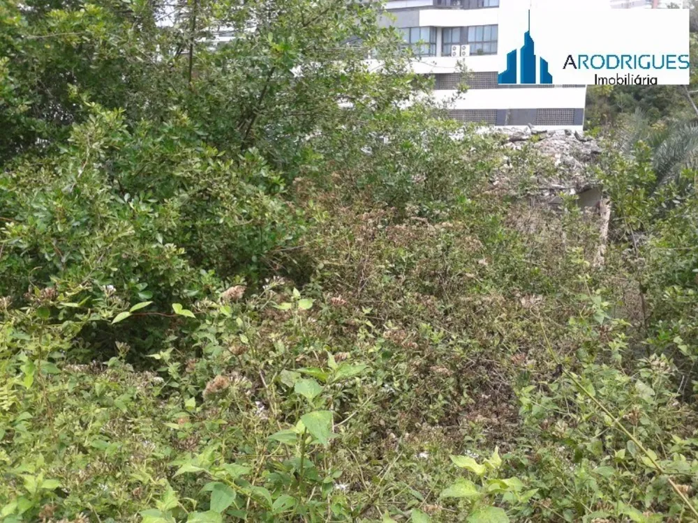 Loteamento e Condomínio, 3330 m² - Foto 3