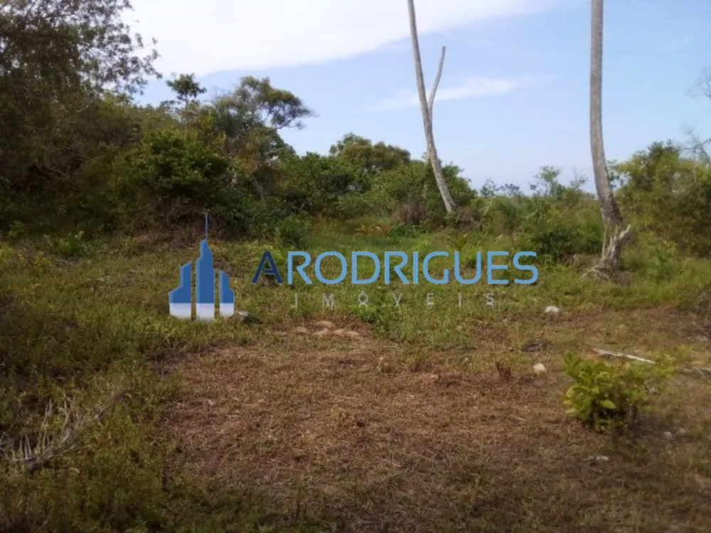 Loteamento e Condomínio, 4 hectares - Foto 3