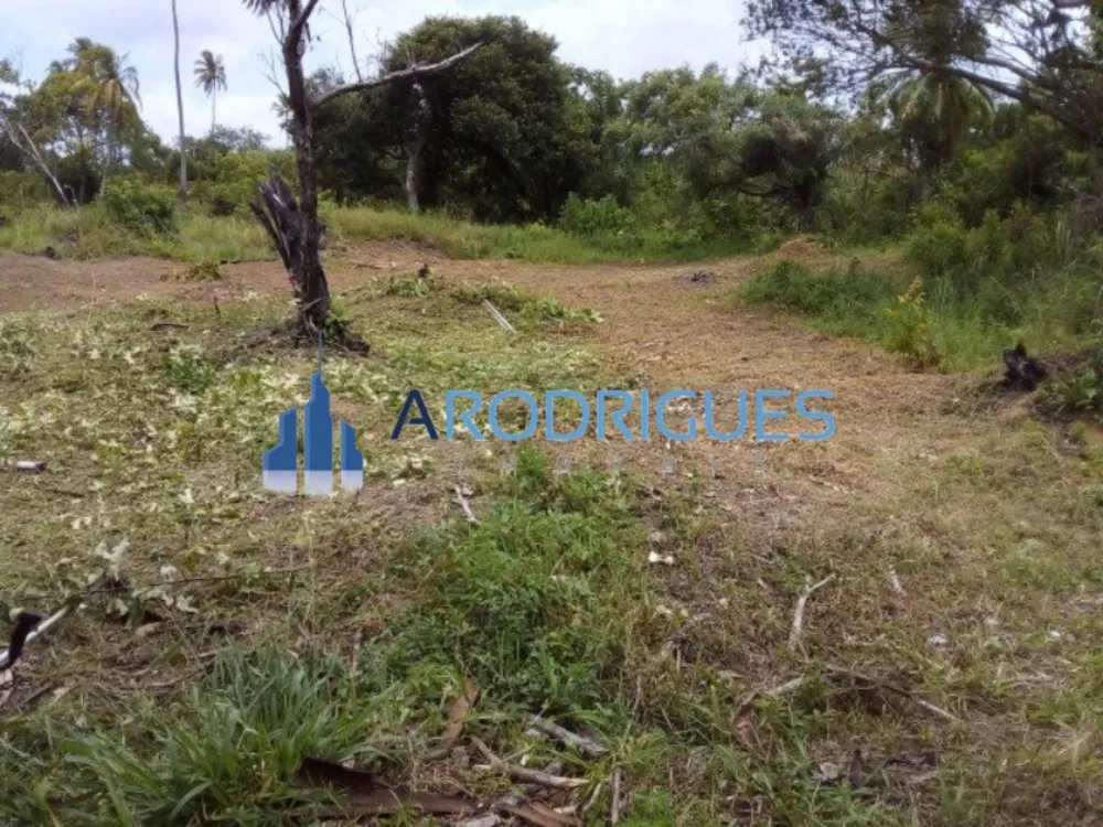Loteamento e Condomínio, 4 hectares - Foto 4