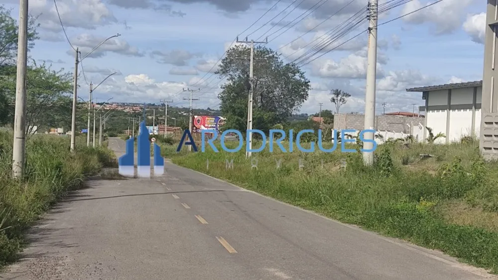 Depósito-Galpão - Foto 10