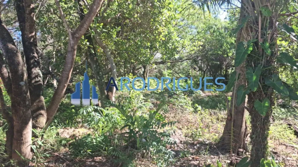 Terreno, 5200 m² - Foto 2