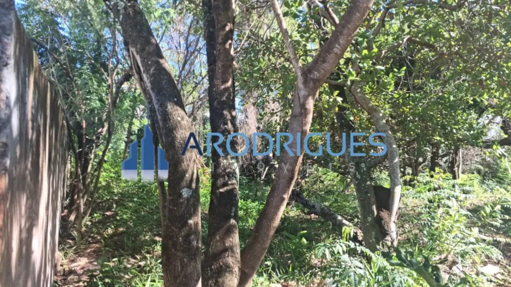 Terreno, 5200 m² - Foto 1