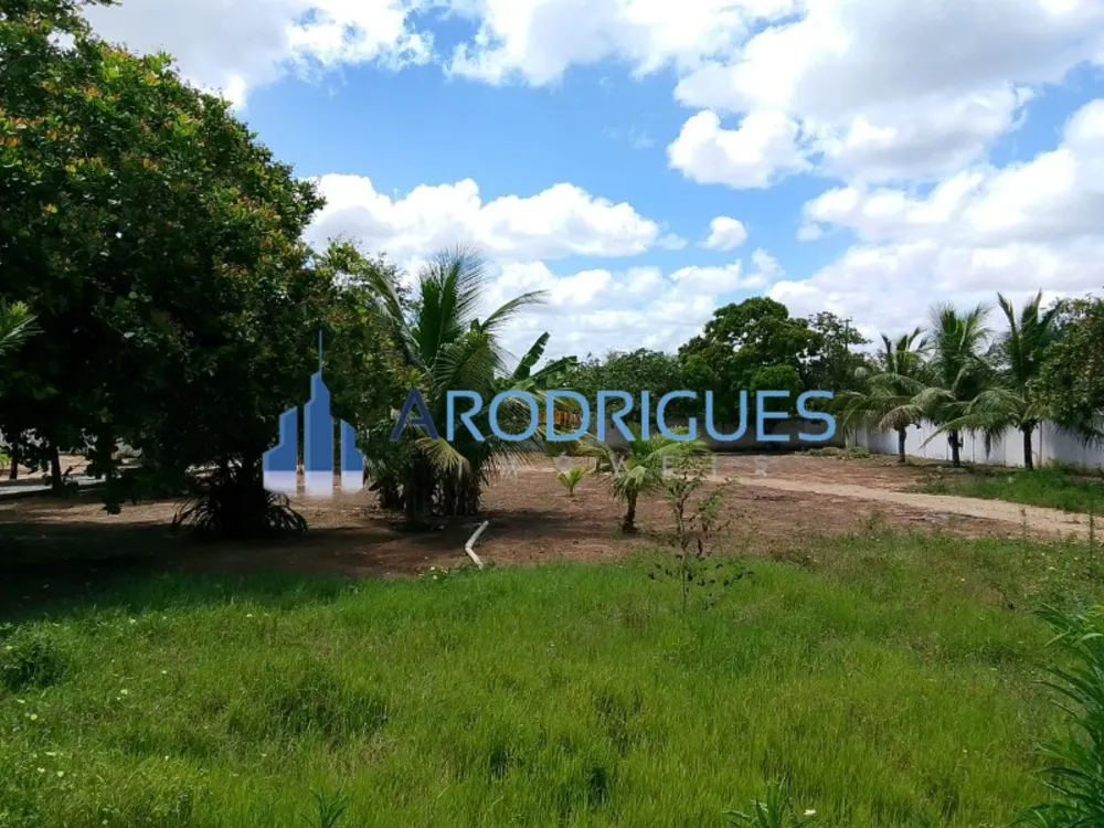 Chácara, 3 quartos, 7000 m² - Foto 3