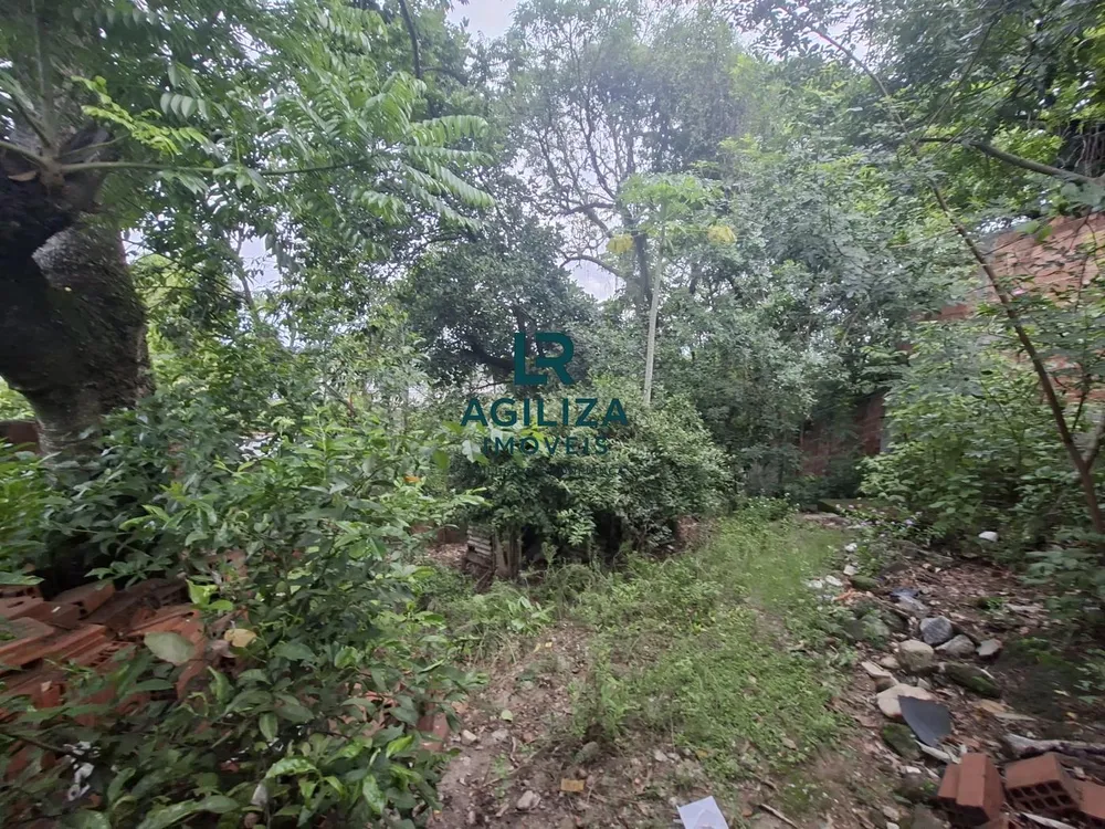 Casa, 3 quartos, 360 m² - Foto 25