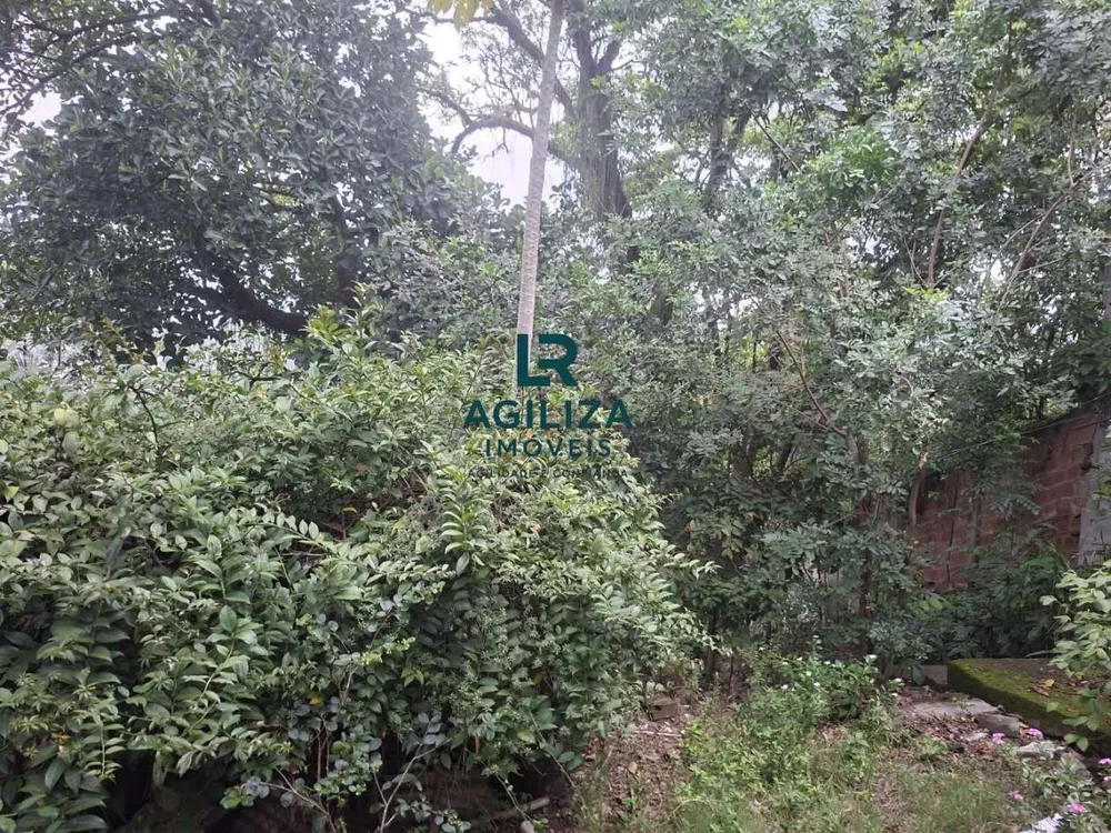Casa, 3 quartos, 360 m² - Foto 20