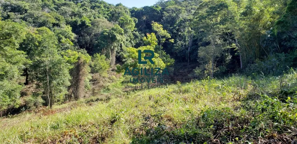 Sítio, 4 hectares - Foto 1
