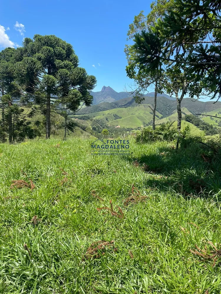 Terreno, 17 hectares - Foto 11