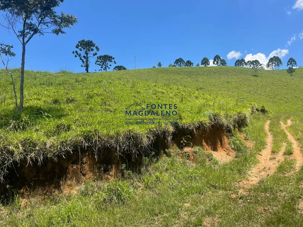 Terreno, 17 hectares - Foto 8