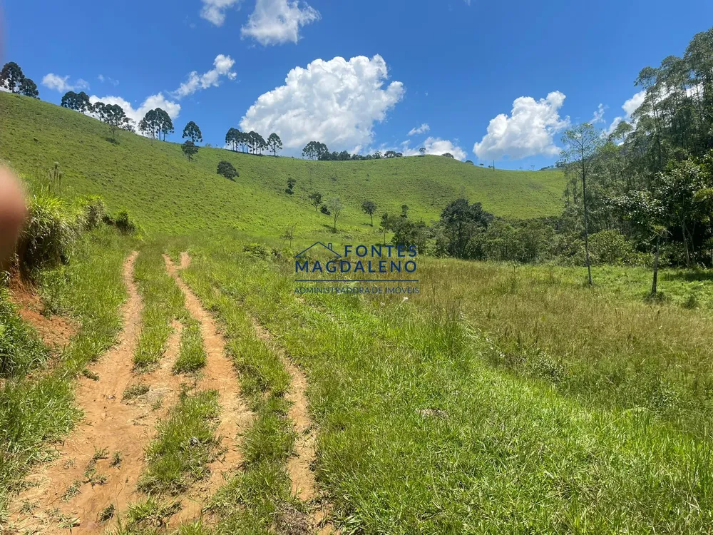 Terreno, 17 hectares - Foto 13