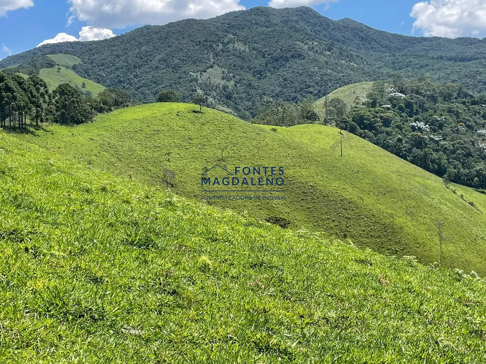 Terreno, 17 hectares - Foto 10