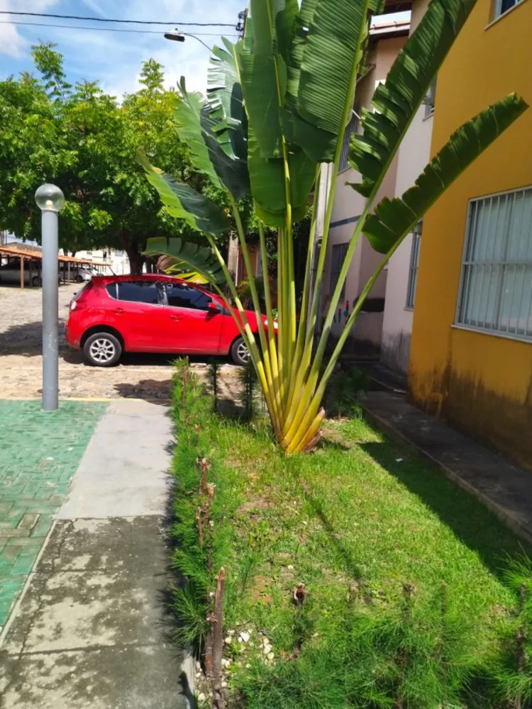 Apartamento, 2 quartos, 43 m² - Foto 3