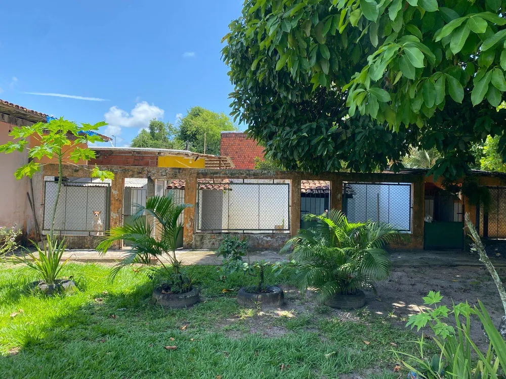 Casa, 3 quartos, 2500 m² - Foto 7