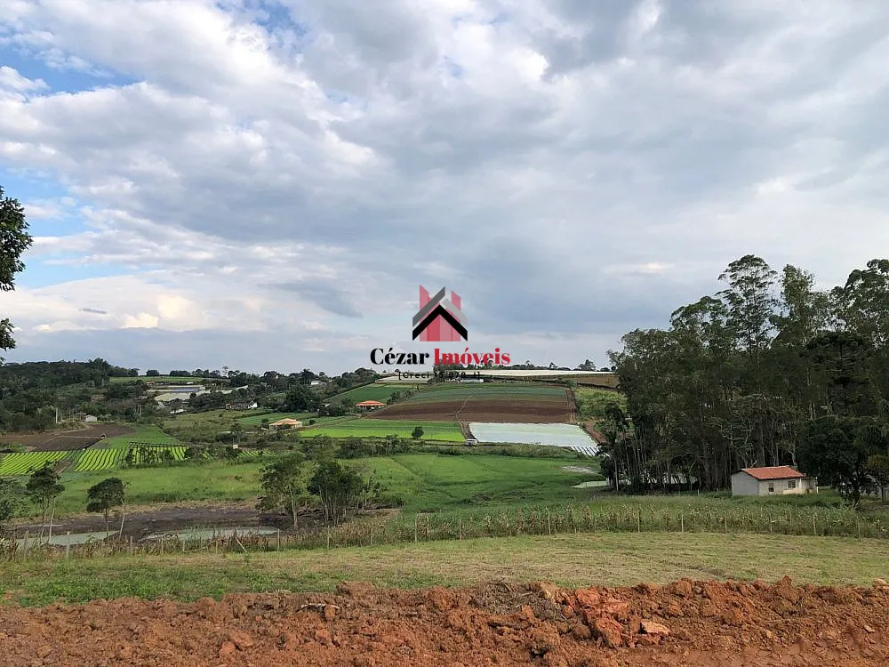 Chácara, 1 quarto, 5400 m² - Foto 16