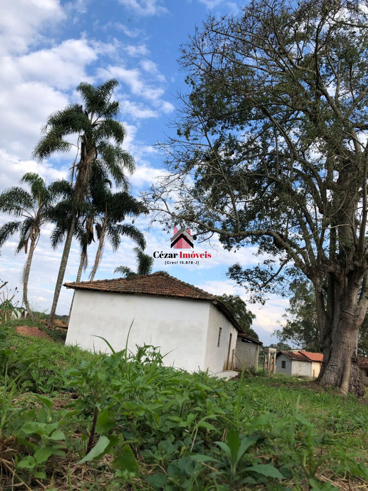 Chácara, 1 quarto, 5400 m² - Foto 7