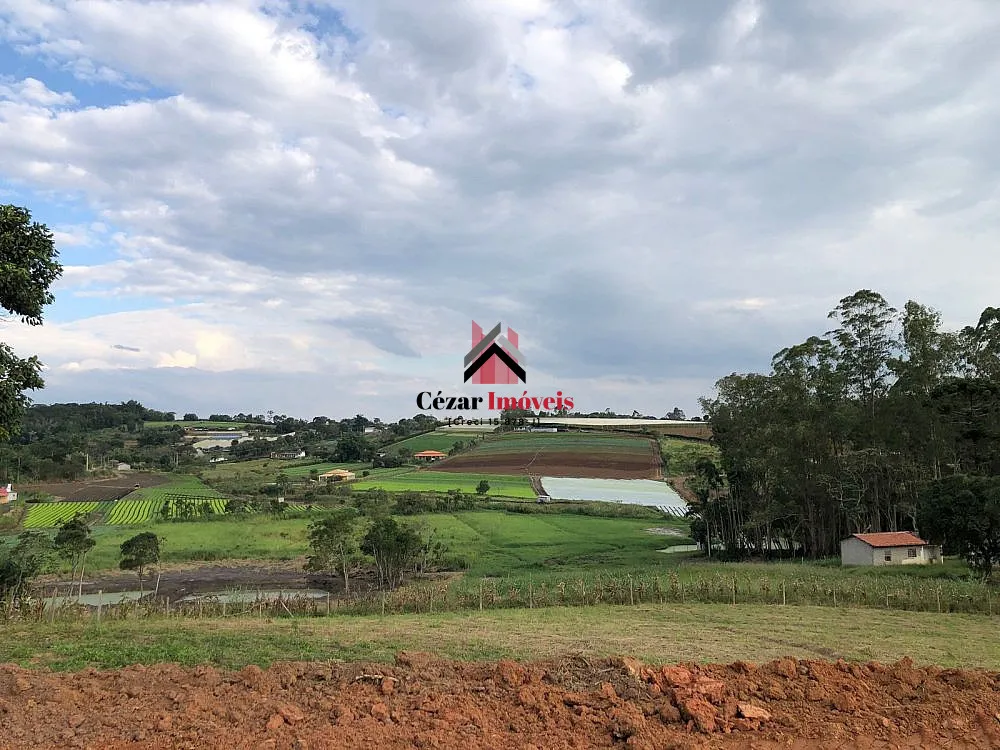 Chácara, 1 quarto, 5400 m² - Foto 2