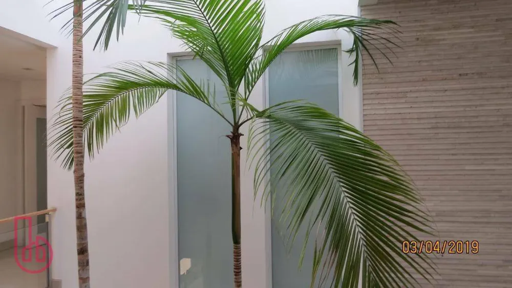 Casa de Condomínio, 5 quartos - Foto 4