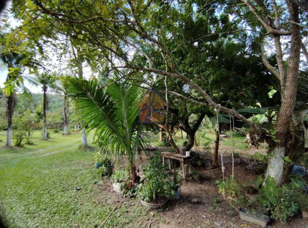 Casa, 3 quartos, 150 m² - Foto 25
