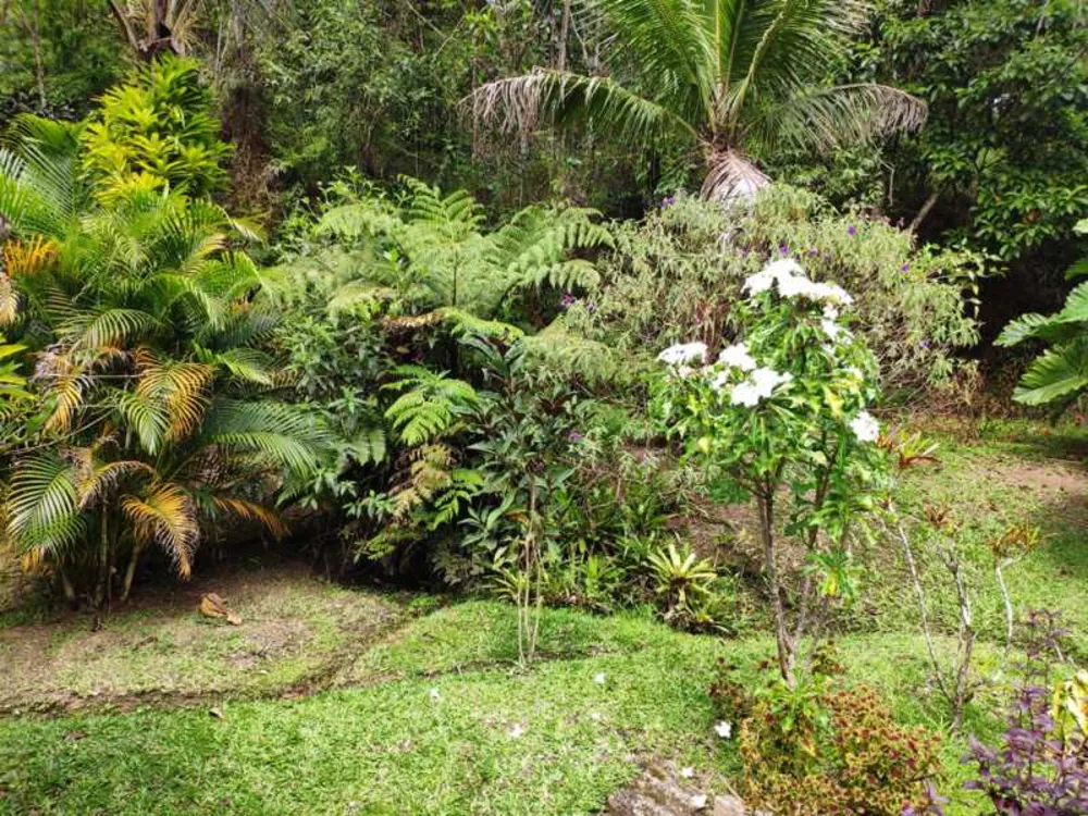 Sítio, 4 quartos, 700 m² - Foto 21