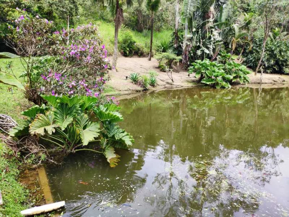 Sítio, 4 quartos, 700 m² - Foto 22