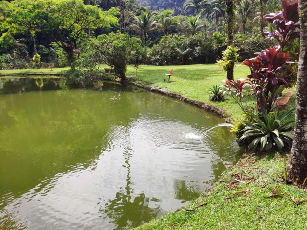 Sítio, 4 quartos, 700 m² - Foto 20