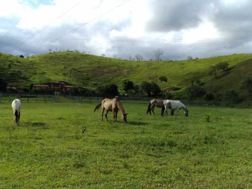 Fazenda à venda com 3 quartos, 250m² - Foto 8