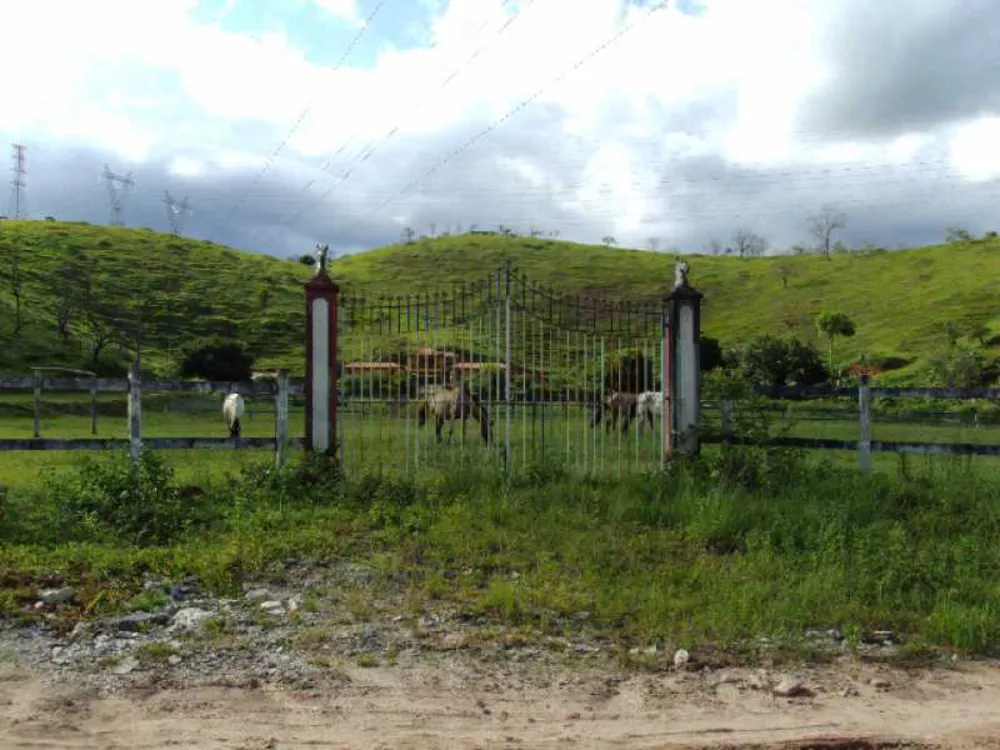 Fazenda à venda com 3 quartos, 250m² - Foto 20