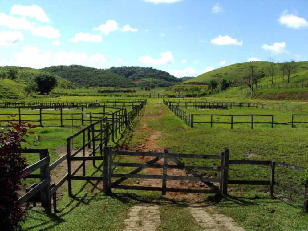 Fazenda à venda com 3 quartos, 250m² - Foto 4