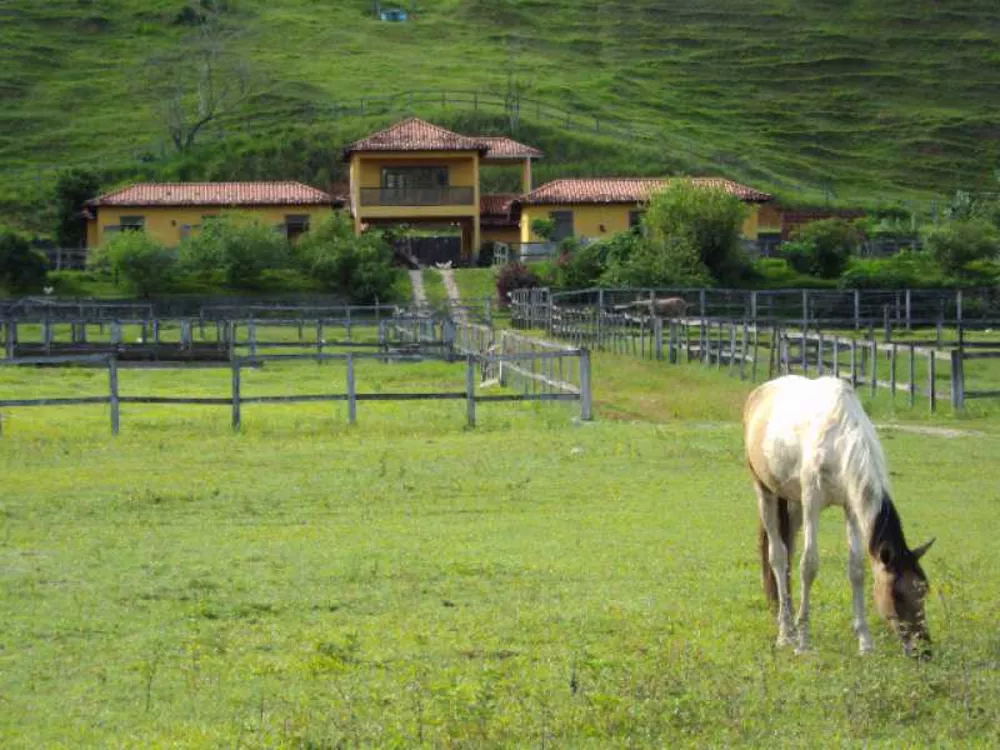 Fazenda à venda com 3 quartos, 250m² - Foto 6