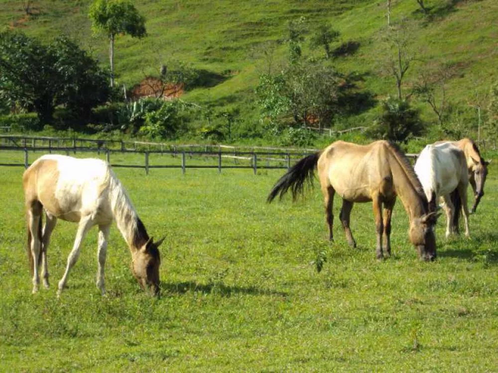 Fazenda à venda com 3 quartos, 250m² - Foto 10