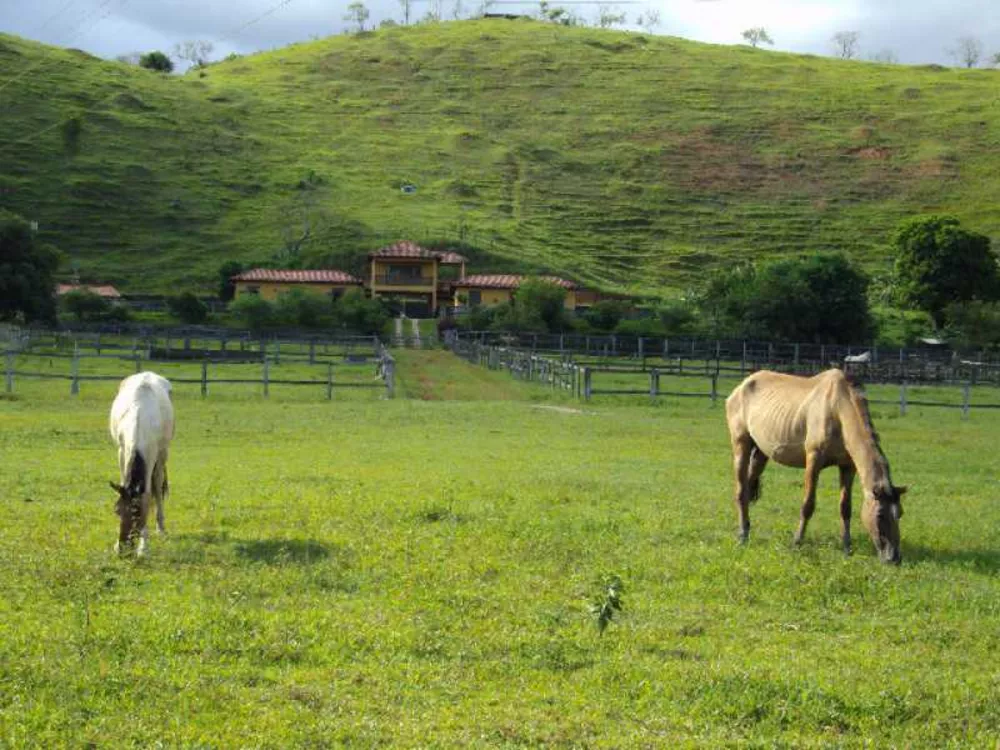 Fazenda à venda com 3 quartos, 250m² - Foto 18