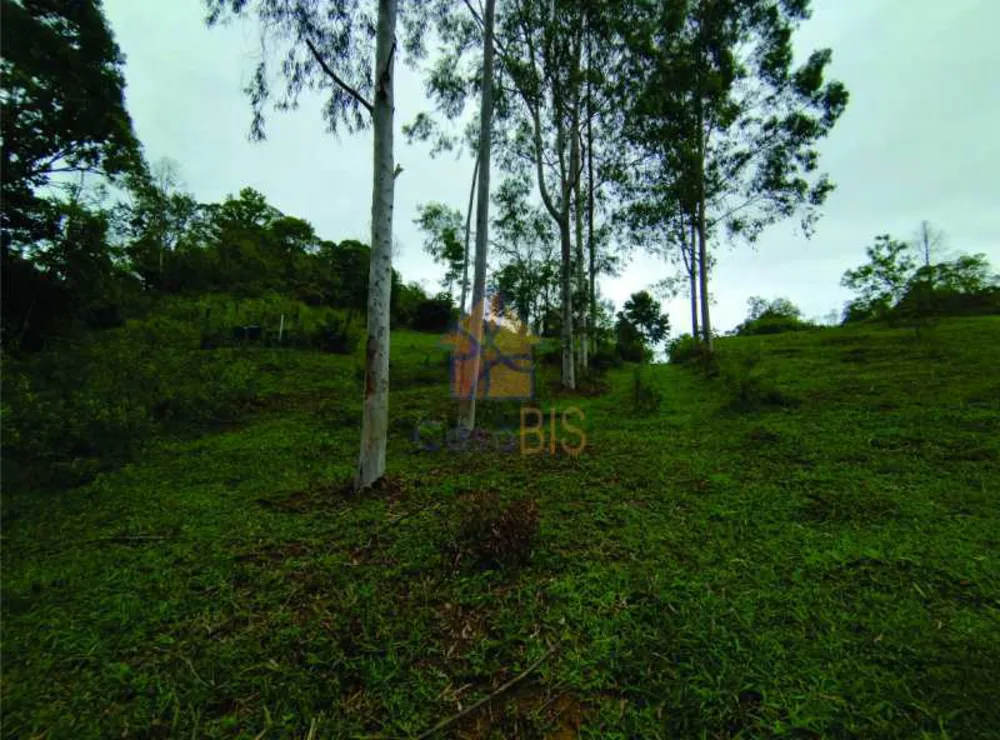 Sítio, 4 quartos, 9 hectares - Foto 21