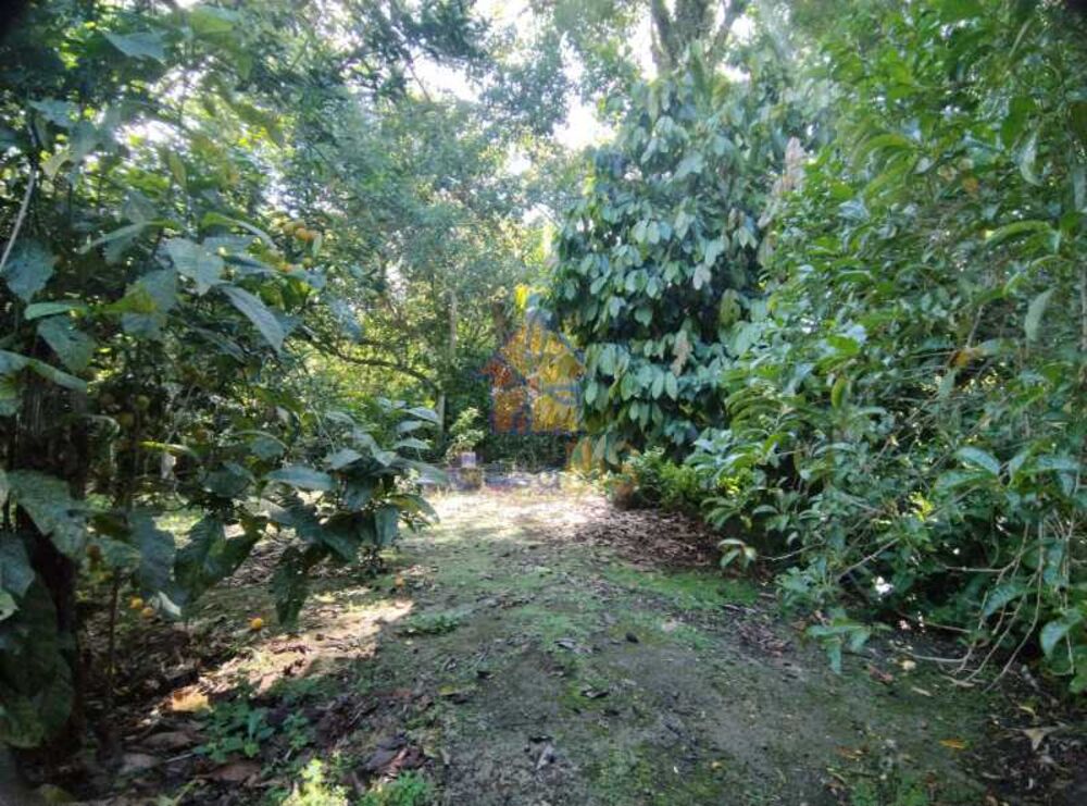 Casa, 3 quartos, 150 m² - Foto 22