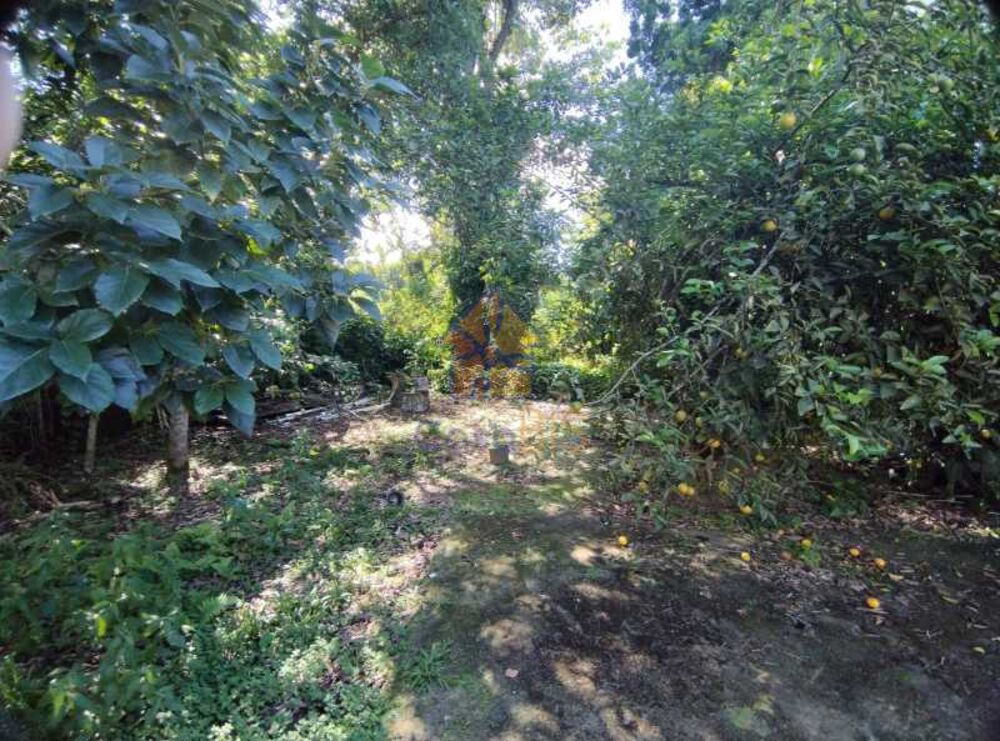 Casa, 3 quartos, 150 m² - Foto 21