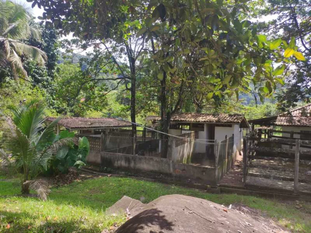 Fazenda, 300 m² - Foto 23