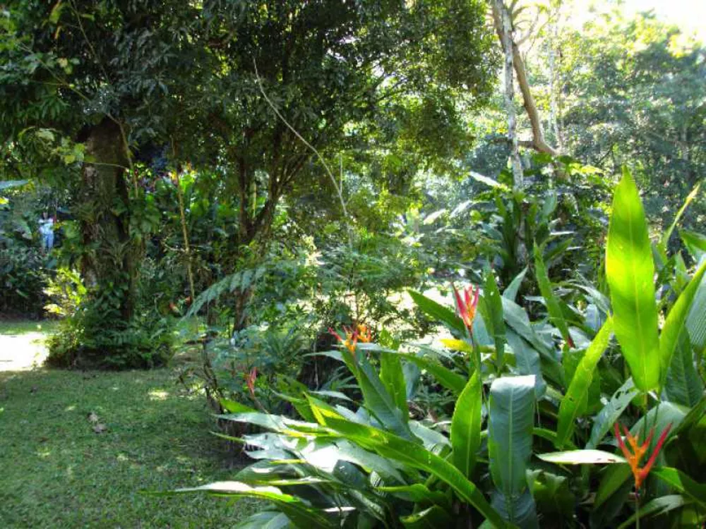Casa, 3 quartos, 380 m² - Foto 13