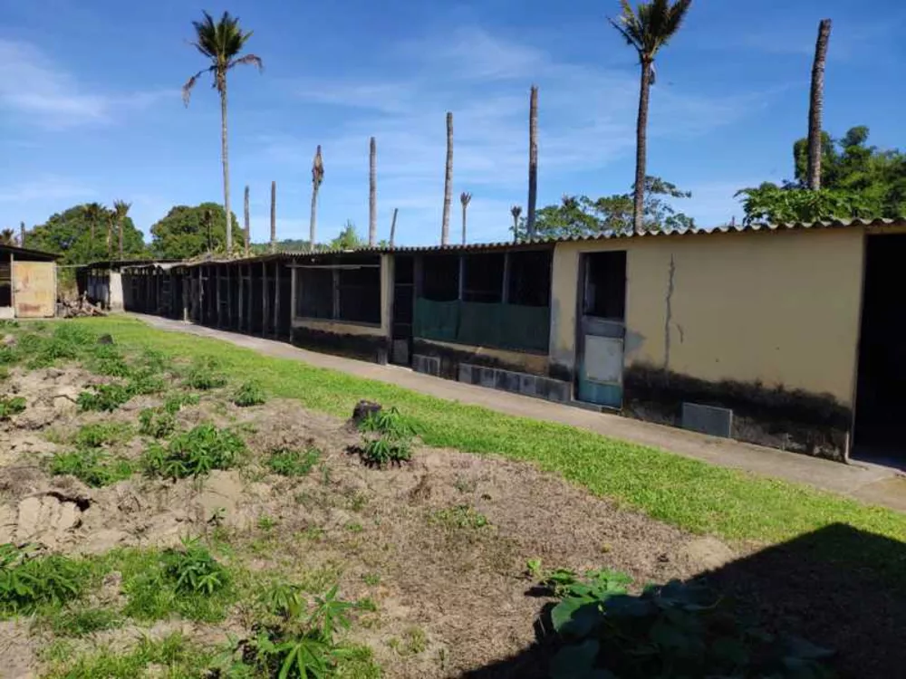Sítio, 2 quartos, 250 m² - Foto 20