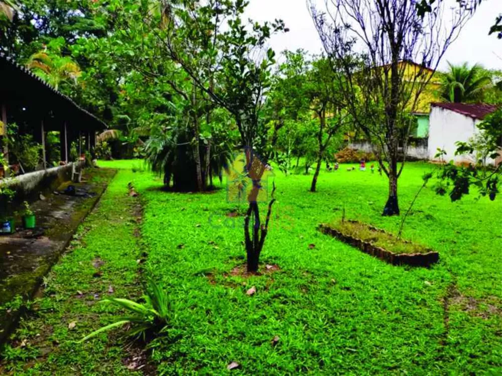 Casa, 9 quartos, 300 m² - Foto 14