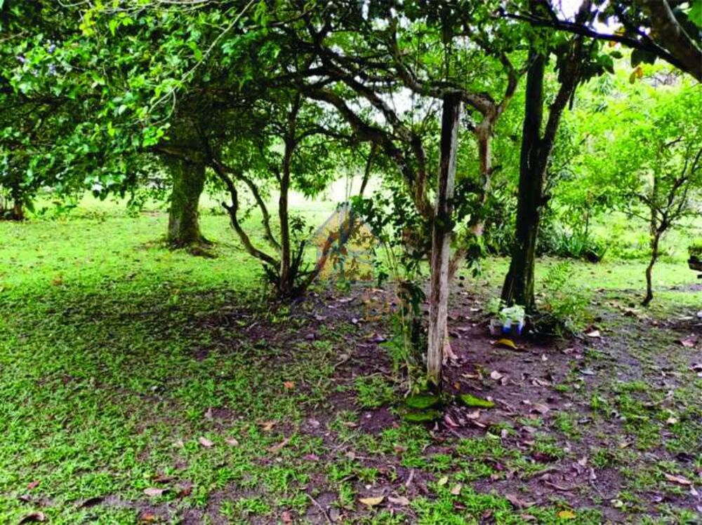 Casa à venda com 9 quartos, 300m² - Foto 6