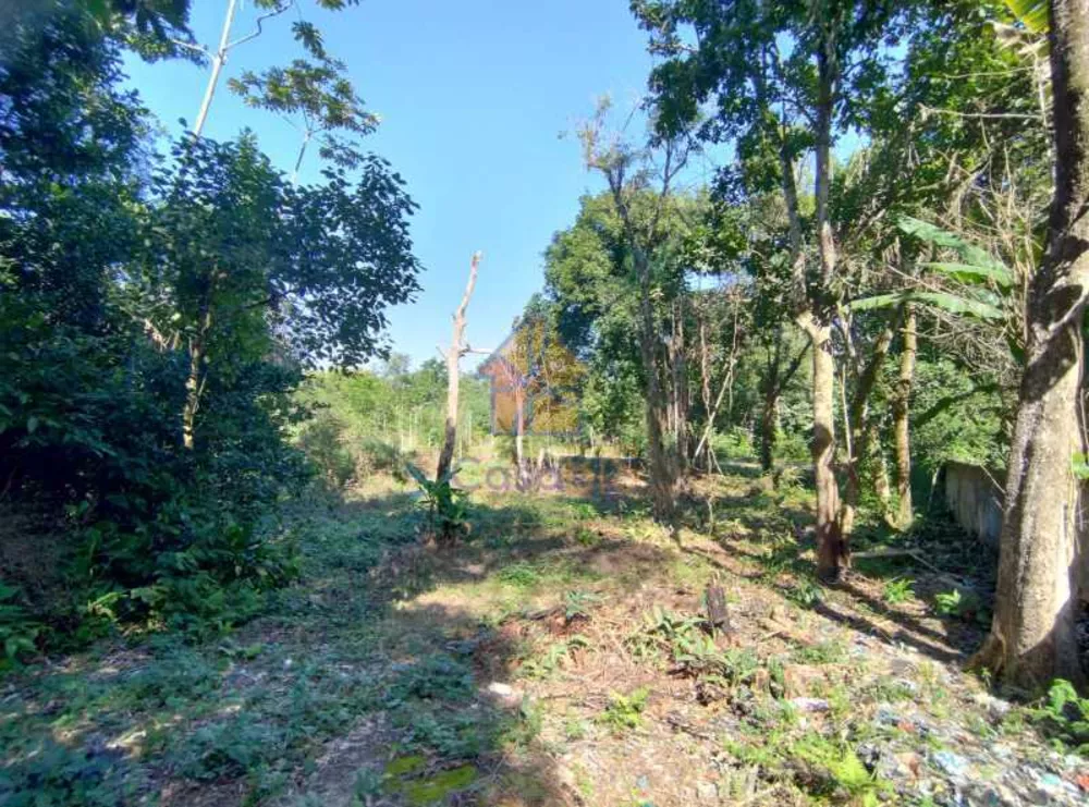 Sítio, 8 quartos, 250 m² - Foto 5