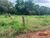 Terreno, 1288 m² - Foto 3