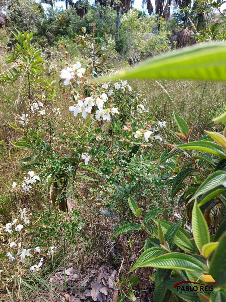 Terreno à venda, 3m² - Foto 4