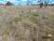 Terreno, 3 m² - Foto 2