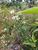 Terreno, 3 m² - Foto 4