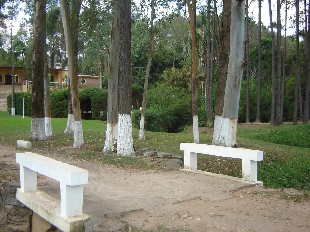 Sítio, 4 quartos, 1000 m² - Foto 8